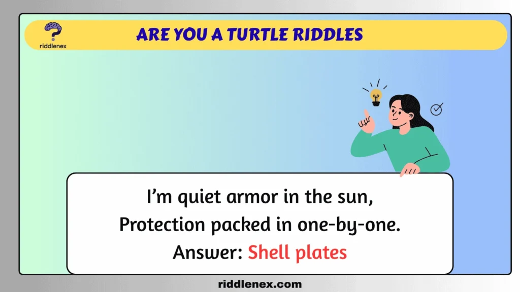 Are You a Turtle Riddles