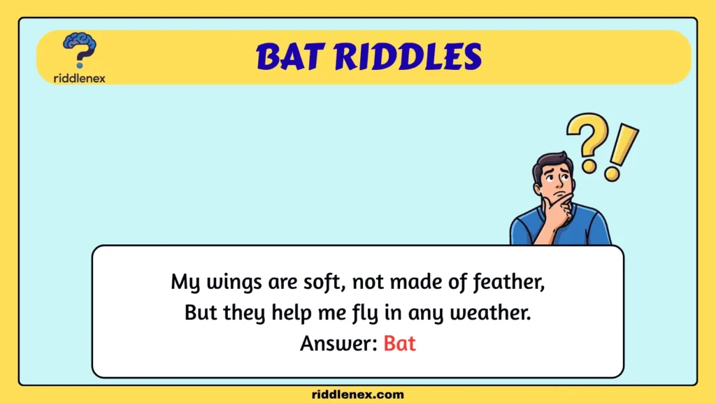 Bat Riddles