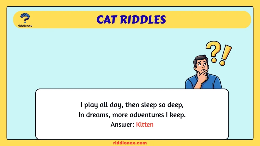 Cat Riddles