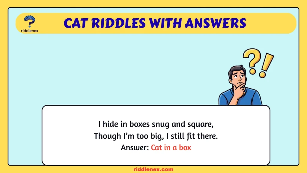 Cat Riddles with Answers