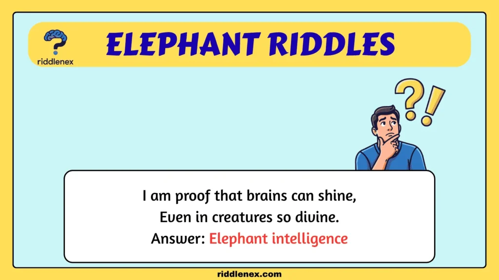 Elephant Riddles