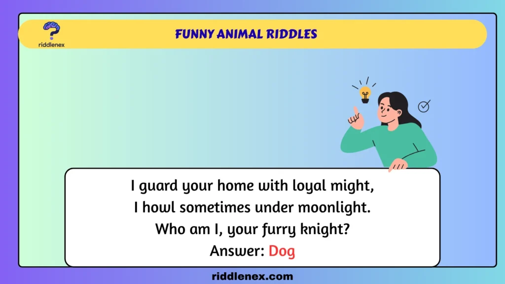 Funny Animal Riddles