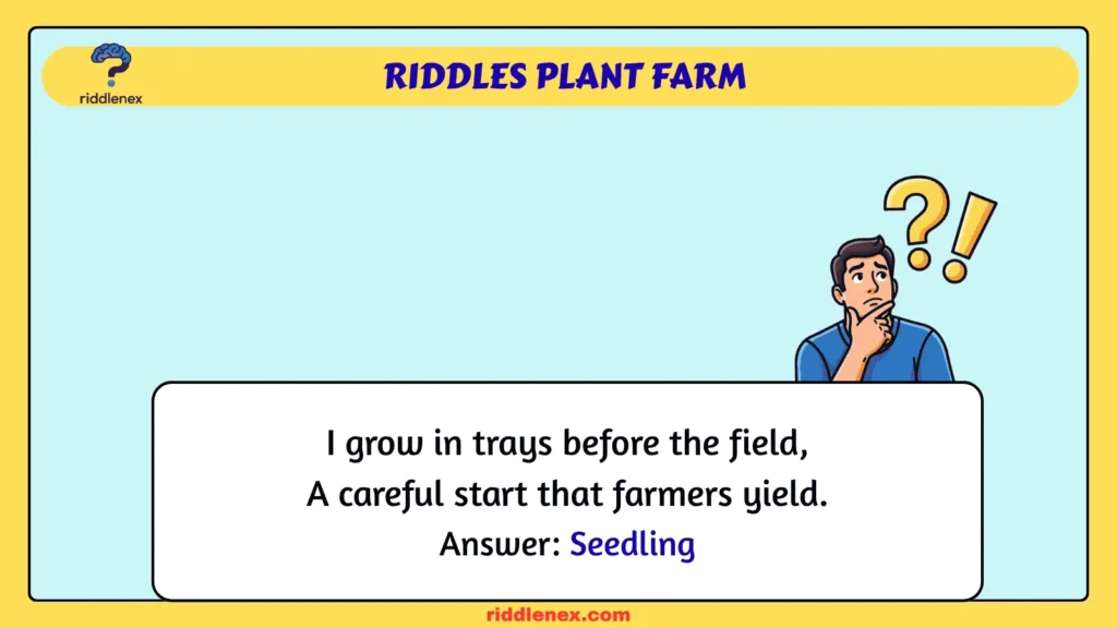 Riddles Plant Farm