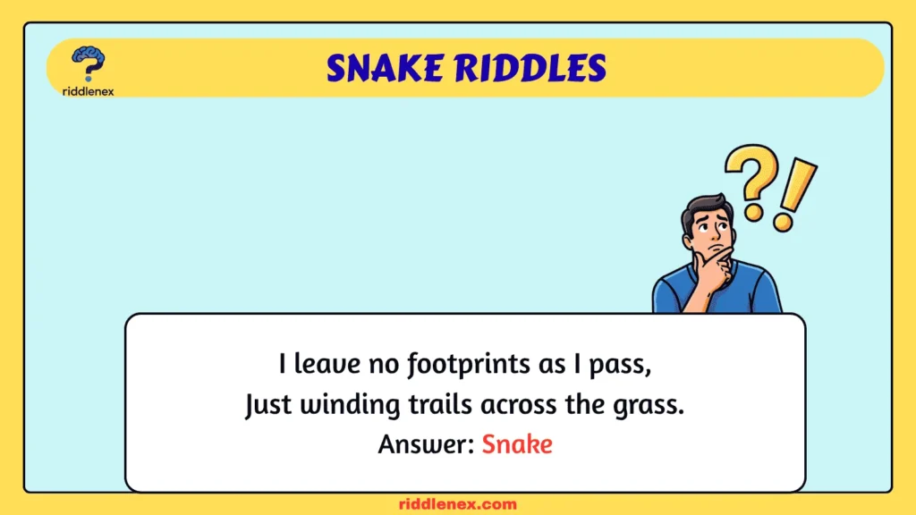 Snake Riddles