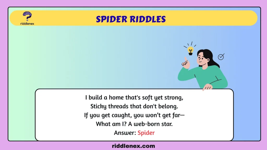 Spider Riddles