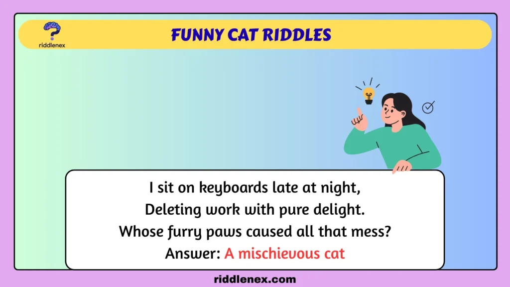 Funny Cat Riddles