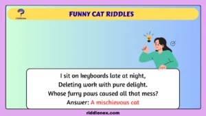 Funny Cat Riddles