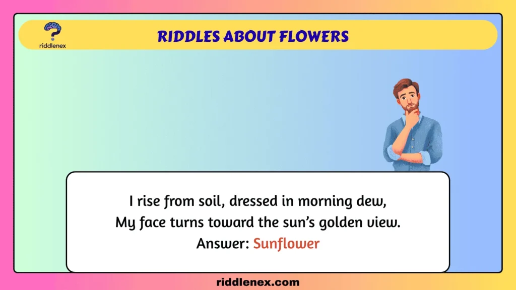 Riddles About Flowers