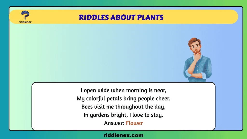 Riddles About Plants